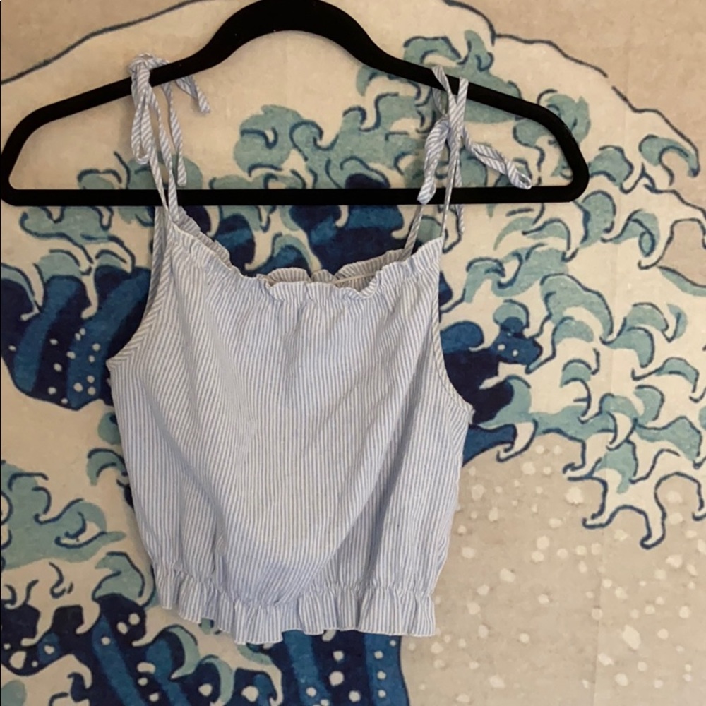 John Galt (Brandy Melville) Cropped Top